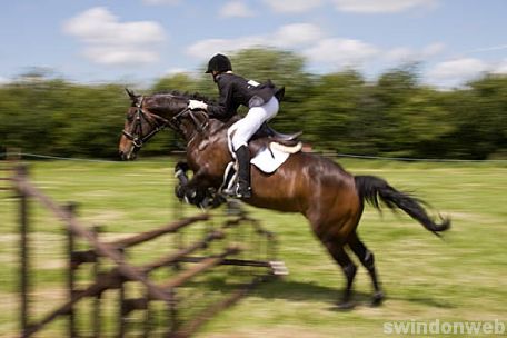Wanborough Horse and Dog show